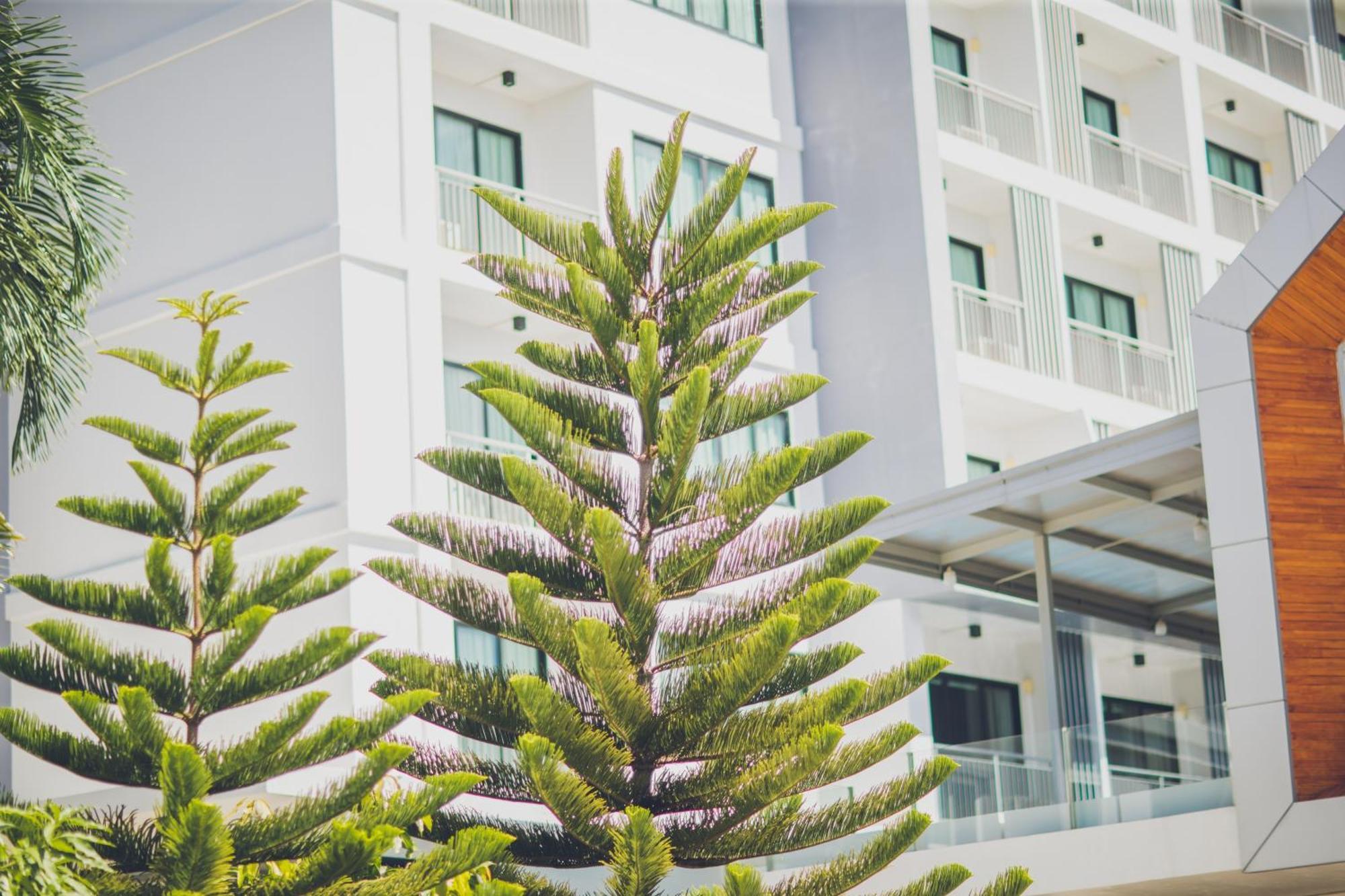 Phavina Hotel Rayong Sha Extra Plus Экстерьер фото